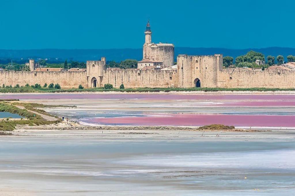 Maison A 800M Des Remparts Aigues-Mortes Kültér fotó
